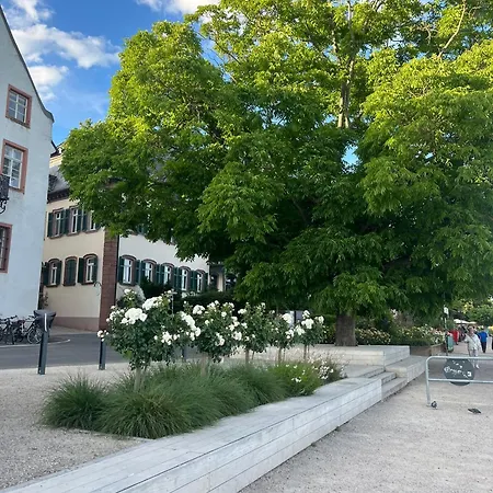 Luxuriöses 4-zimmer-apt Im Japandi-stil I Top-lage I Familienfreundlich I Balkon I Küche I Netflix I Kostenloser Parkplatz I 105 M2 Apartment Eltville am Rhein